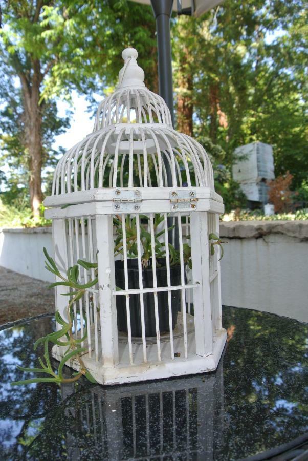 Bed and Breakfast Campagnoli Somma Lombardo Exterior foto